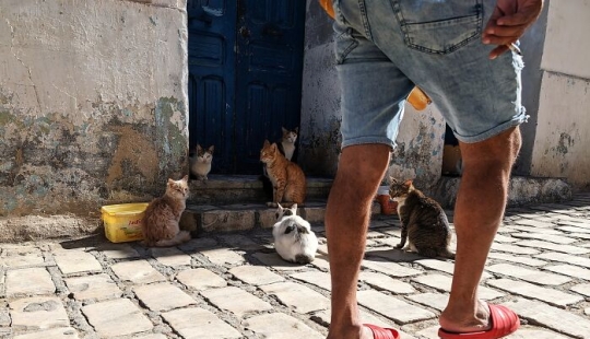 16 Smartphone Shots Documenting Life On The Streets Of Tunisia By This Photographer