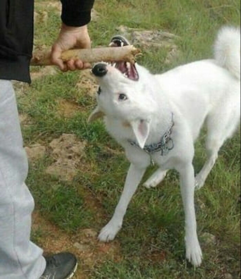 17 ‘Cursed Images’ That Might Make You Cringe Or Crack Up, As Shared On This Dedicated Facebook Page