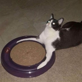 17 ‘Cursed Images’ That Might Make You Cringe Or Crack Up, As Shared On This Dedicated Facebook Page 17 ‘Cursed Images’ That Might Make You Cringe Or Crack Up, As Shared On This Dedicated Facebook Page