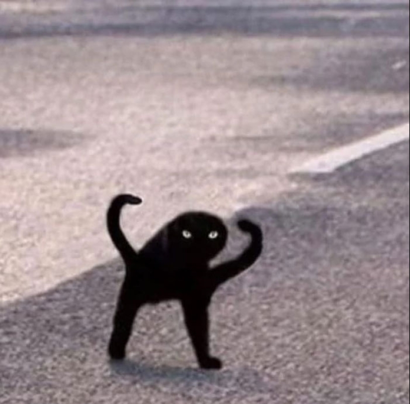 17 ‘Cursed Images’ That Might Make You Cringe Or Crack Up, As Shared On This Dedicated Facebook Page