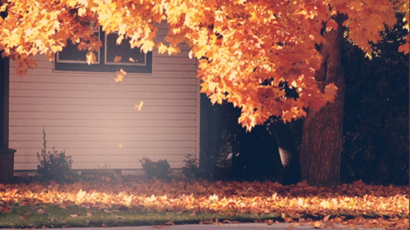 17 razones para alegrarse por la llegada del otoño