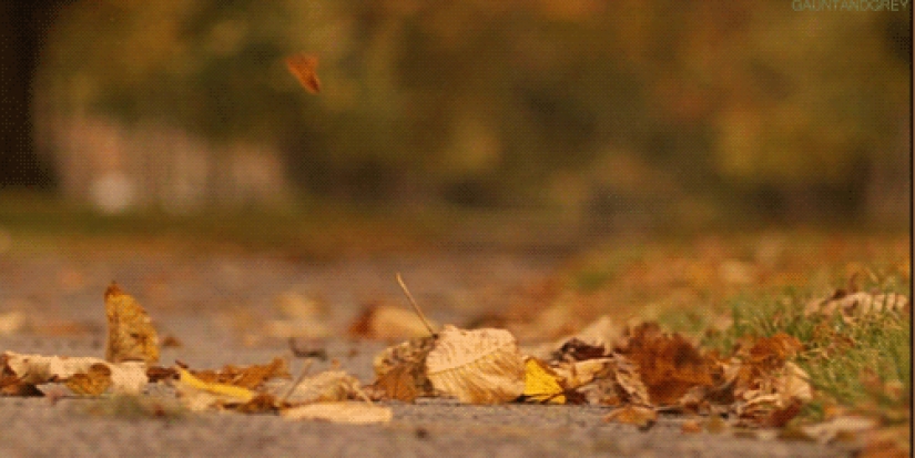 17 razones para alegrarse por la llegada del otoño