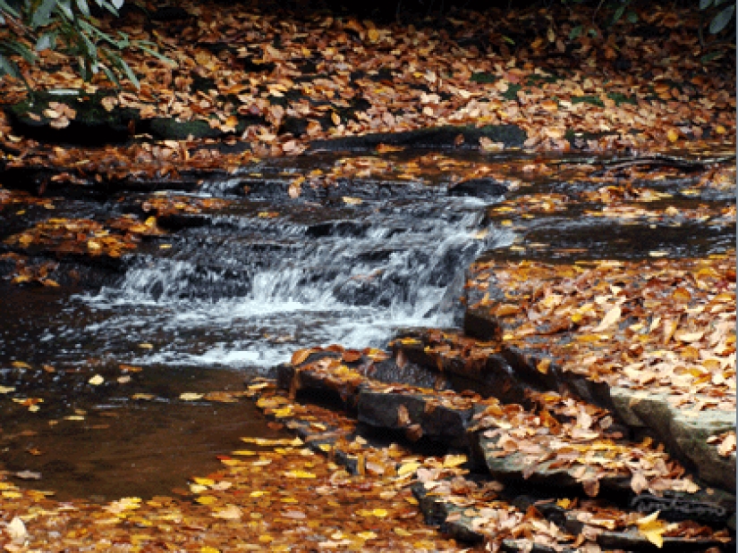 17 razones para alegrarse por la llegada del otoño