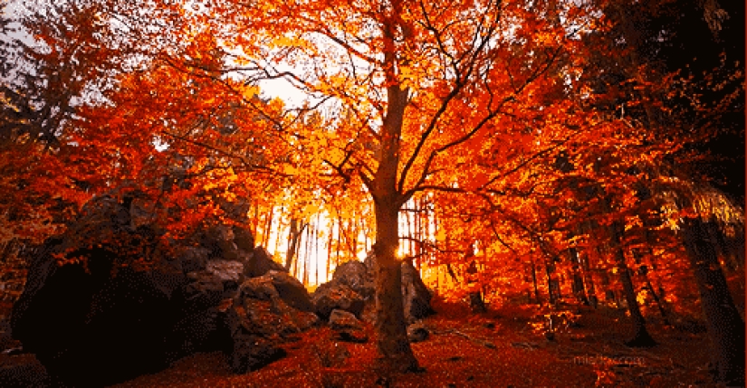 17 razones para alegrarse por la llegada del otoño