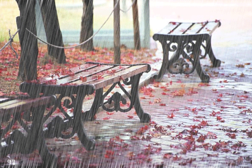 17 reasons to rejoice in the arrival of autumn