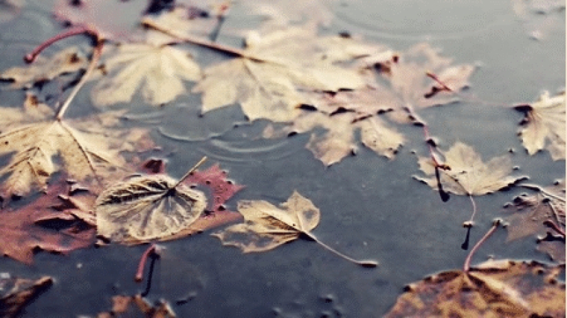 17 reasons to rejoice in the arrival of autumn