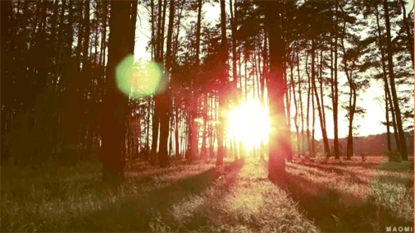 17 reasons to rejoice in the arrival of autumn