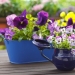 18 cool ways to make garden at home 18 cool ways to make garden at home