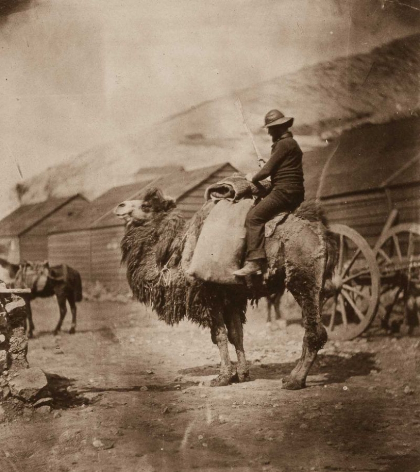 1855: The Crimean War is the first military conflict ever photographed