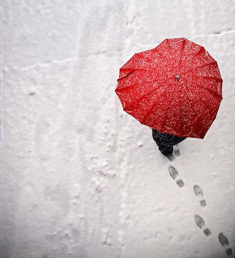 19 Amazing Umbrellas for Fall