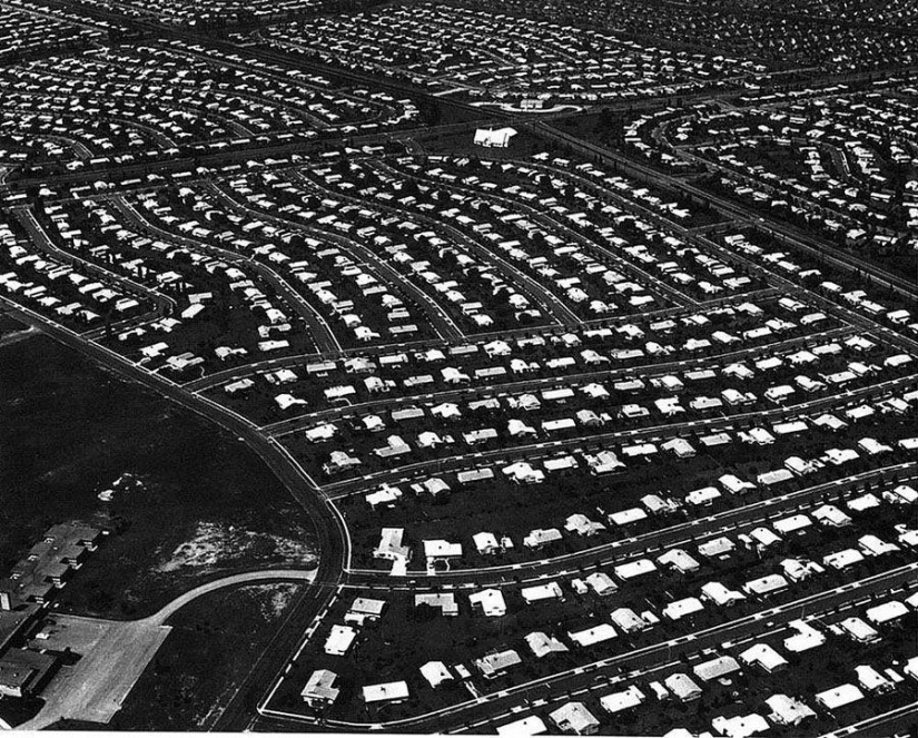 19 best photos of American people