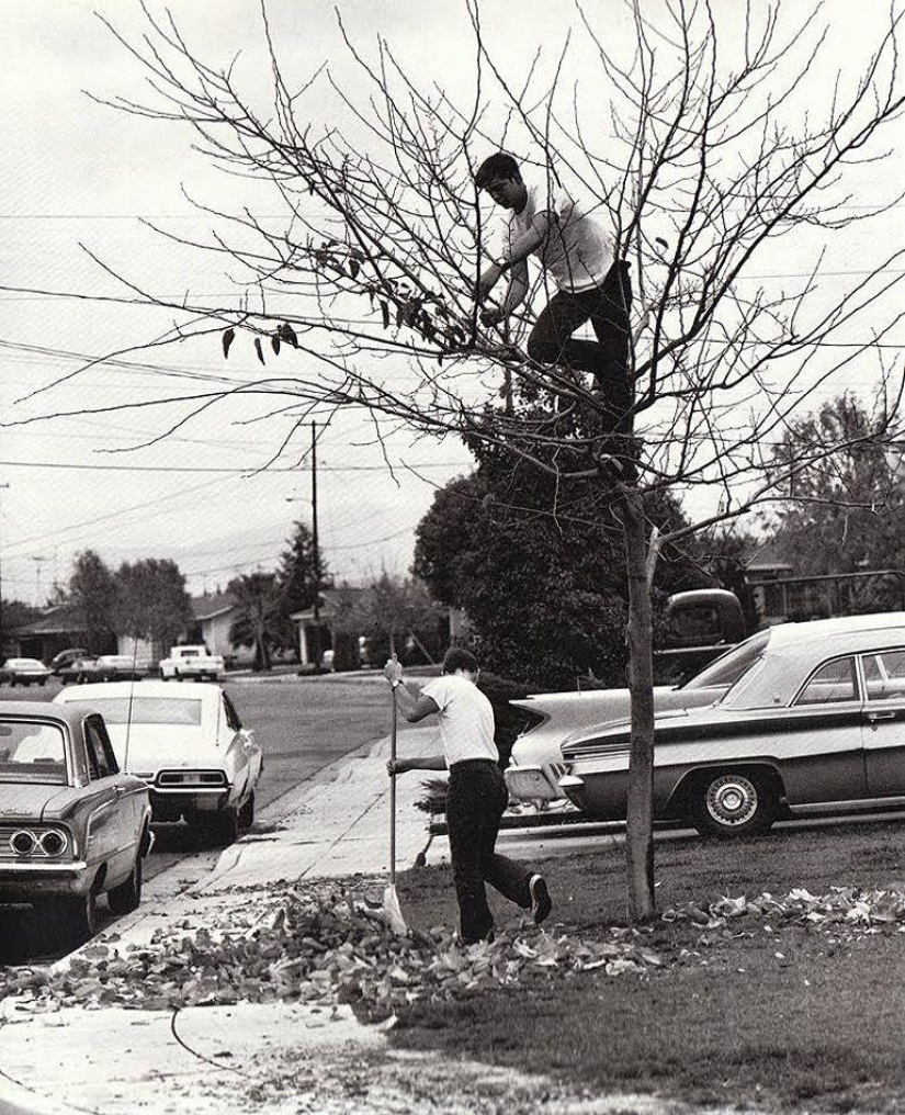 19 best photos of American people