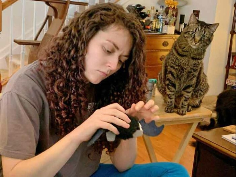 19 ocasiones en las que los gatos no tenían idea de lo mimados que estaban 19 ocasiones en las que los gatos no tenían idea de lo mimados que estaban
