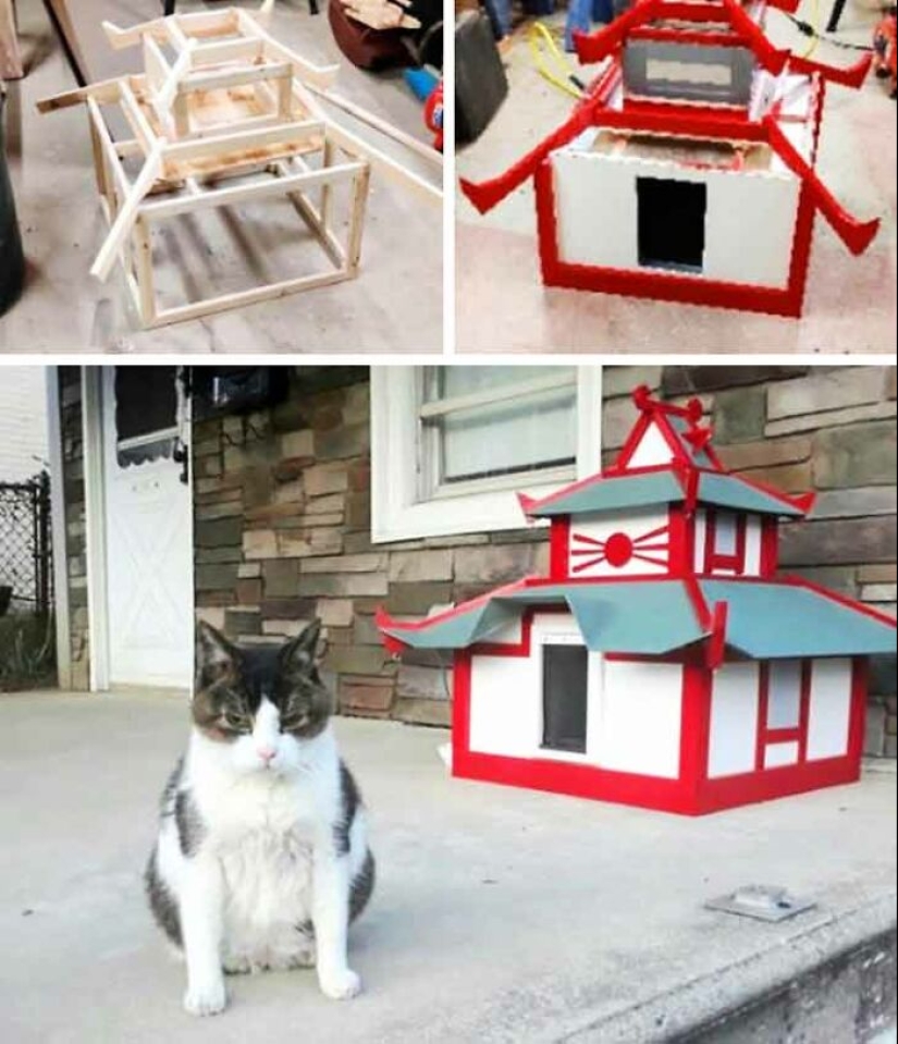 19 ocasiones en las que los gatos no tenían idea de lo mimados que estaban 19 ocasiones en las que los gatos no tenían idea de lo mimados que estaban