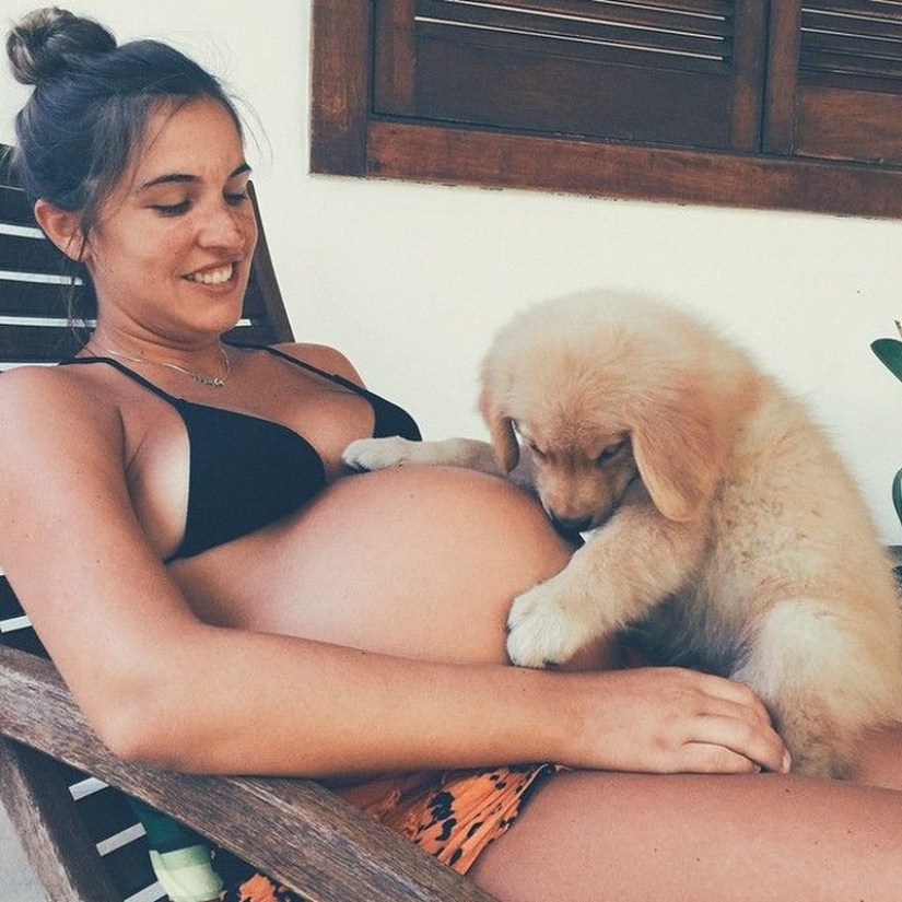 19 perros que realmente esperan tener bebés 19 perros que realmente esperan tener bebés