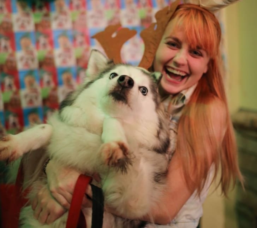 20 animales que odian el Año Nuevo y todo lo relacionado con él 20 animales que odian el Año Nuevo y todo lo relacionado con él