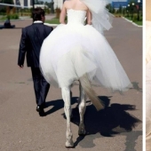 20 controversial family photos, from which I want to laugh, cry and to look at the same