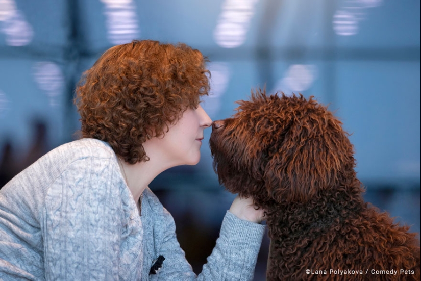 20 Finalists From The Comedy Pet Awards 2023 That Made People Crack Up