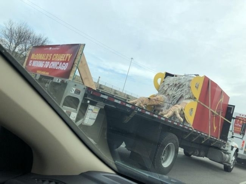 20 fotos en las que hay una especie de caos 20 fotos en las que hay una especie de caos