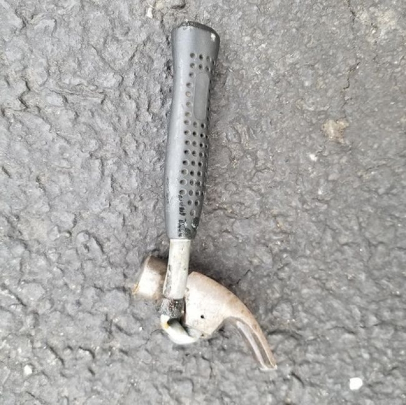 20 fotos en las que hay una especie de caos 20 fotos en las que hay una especie de caos