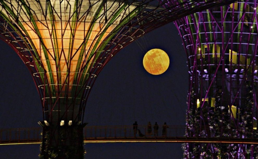 20 fotos más bellas de la &quot;superluna&quot; 2013