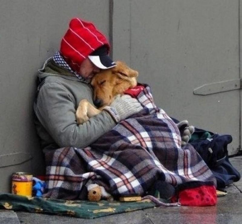 20 fotos más conmovedoras y sinceras sobre la verdadera amistad