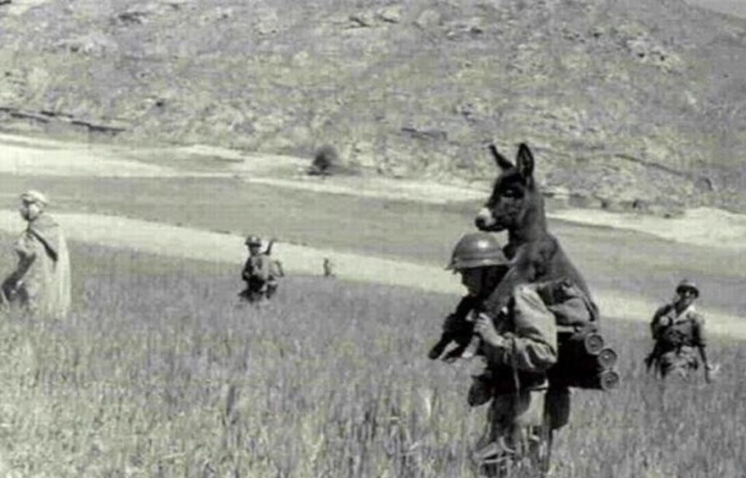 20 fotos únicas con saludos del pasado