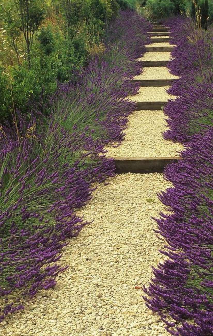 20 Great Garden Path Ideas