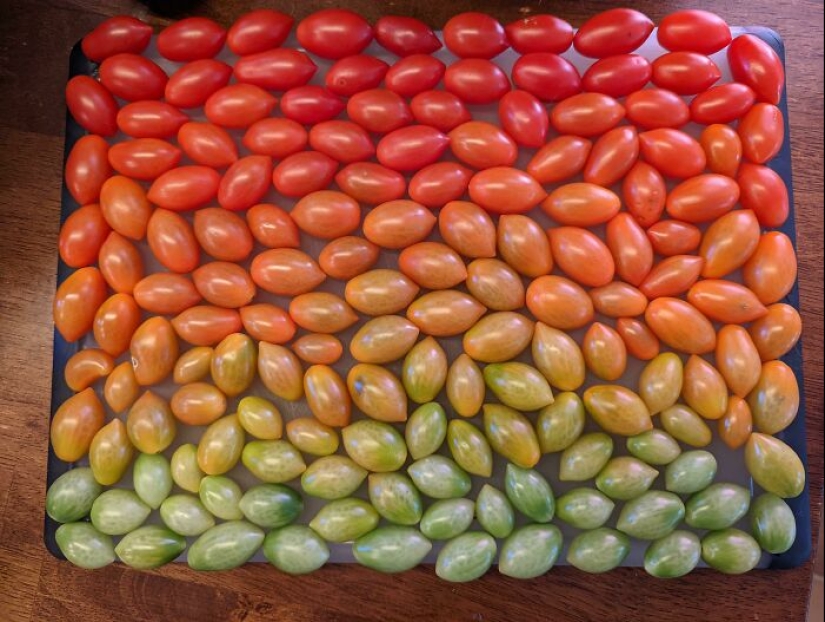 20 imágenes 'knolling' para calmar tus tendencias TOC