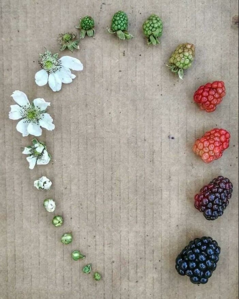 20 imágenes 'knolling' para calmar tus tendencias TOC
