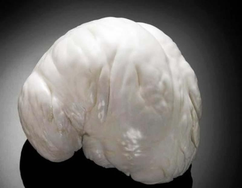 20 interesting facts about jewelry 20 interesting facts about jewelry