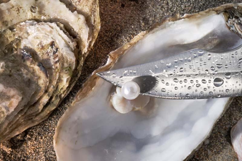 20 interesting facts about jewelry 20 interesting facts about jewelry