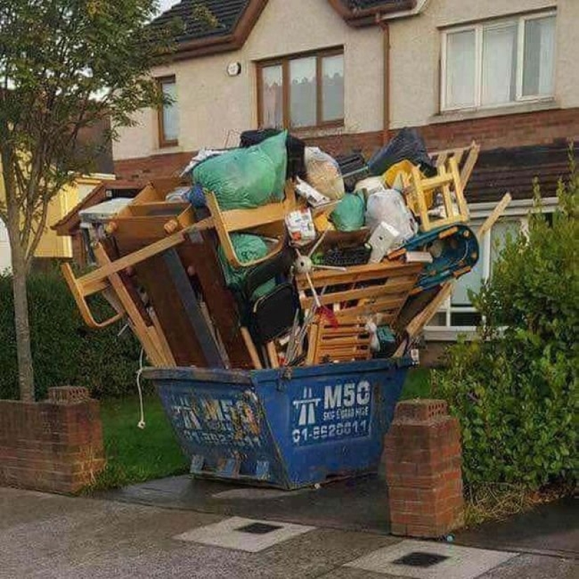 20 photos in which there is some kind of chaos 20 photos in which there is some kind of chaos