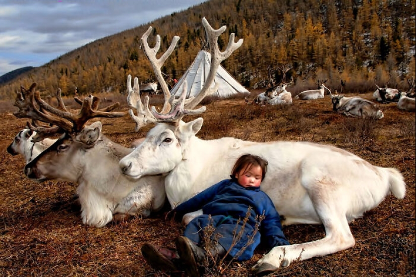 20 Pics That Capture The Beauty Of Humans That’s Often Overlooked