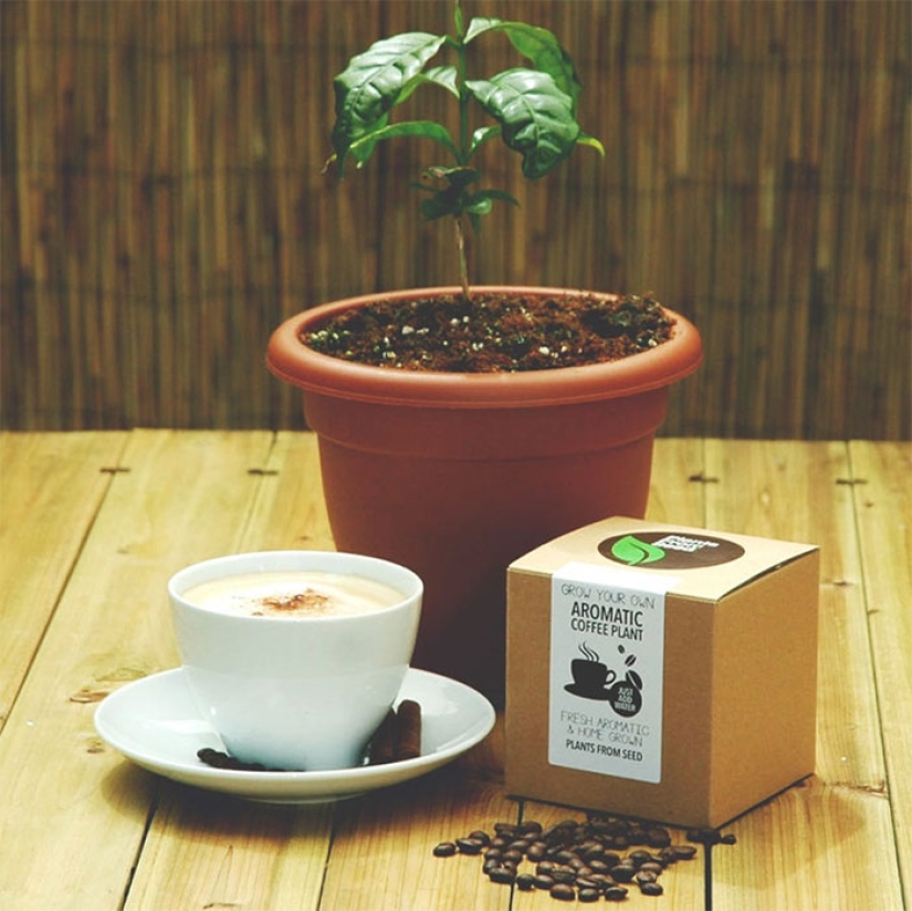 20 regalos para el hogar: para los amantes del café, el alcohol y los viajes