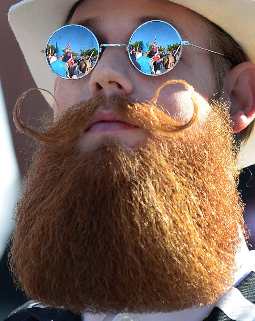20 señales de que tu barba es demasiado grande
