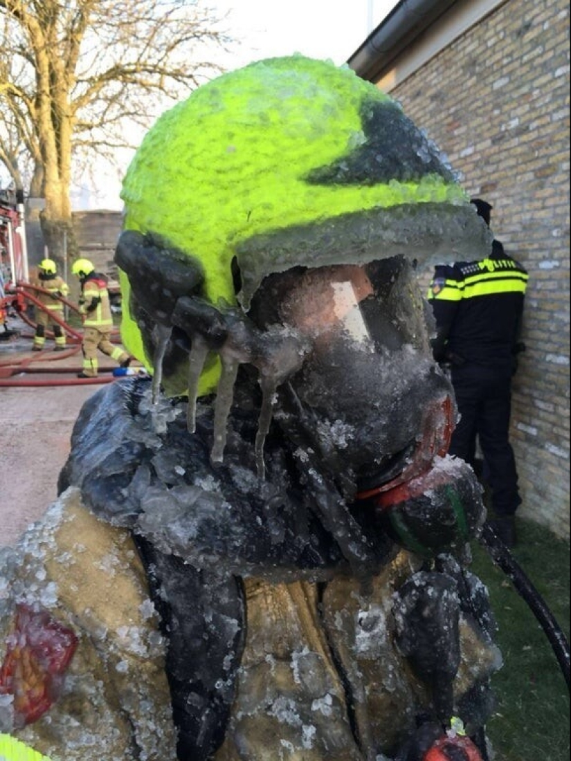 22 photos that show the harsh tricks of frost
