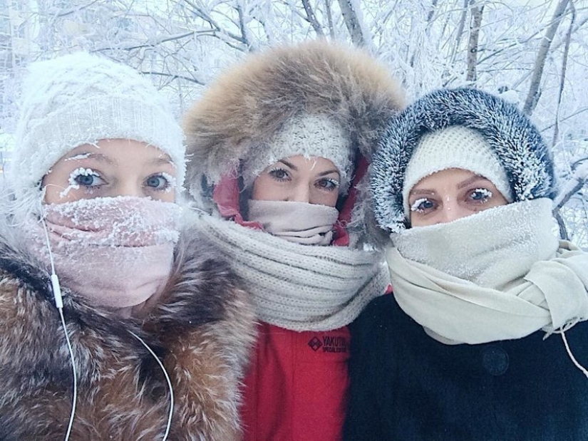 22 photos that show the harsh tricks of frost