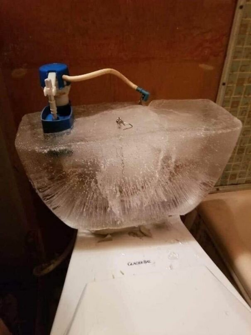 22 photos that show the harsh tricks of frost