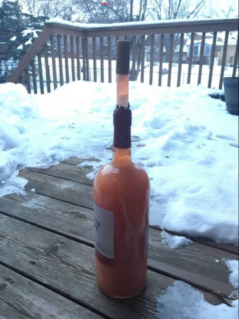 22 photos that show the harsh tricks of frost