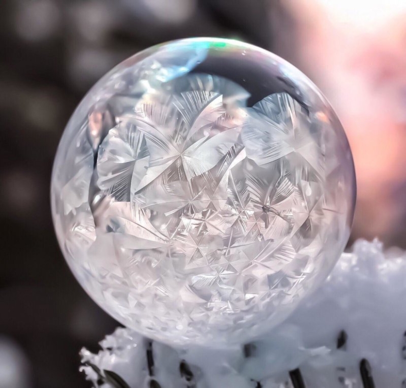 22 photos that show the harsh tricks of frost