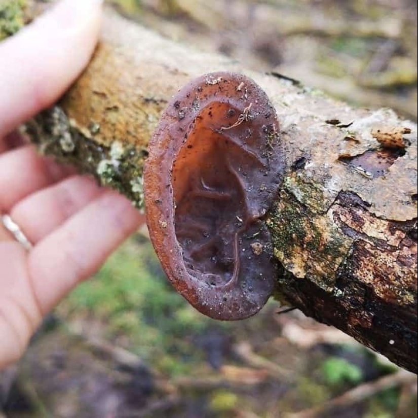 23 fotos aterradoras en las que la naturaleza puede asustar mucho a una persona