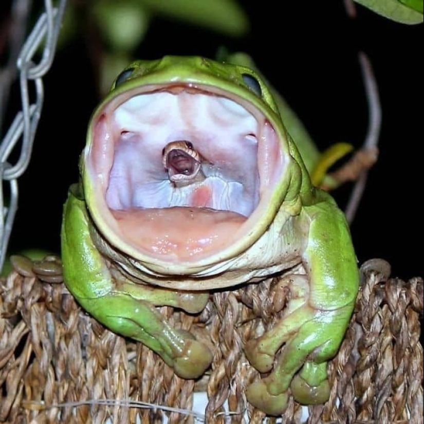 23 fotos aterradoras en las que la naturaleza puede asustar mucho a una persona