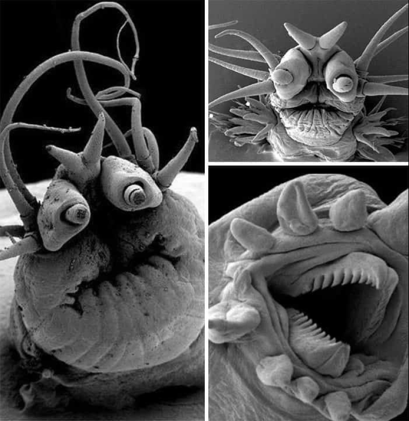 23 fotos aterradoras en las que la naturaleza puede asustar mucho a una persona