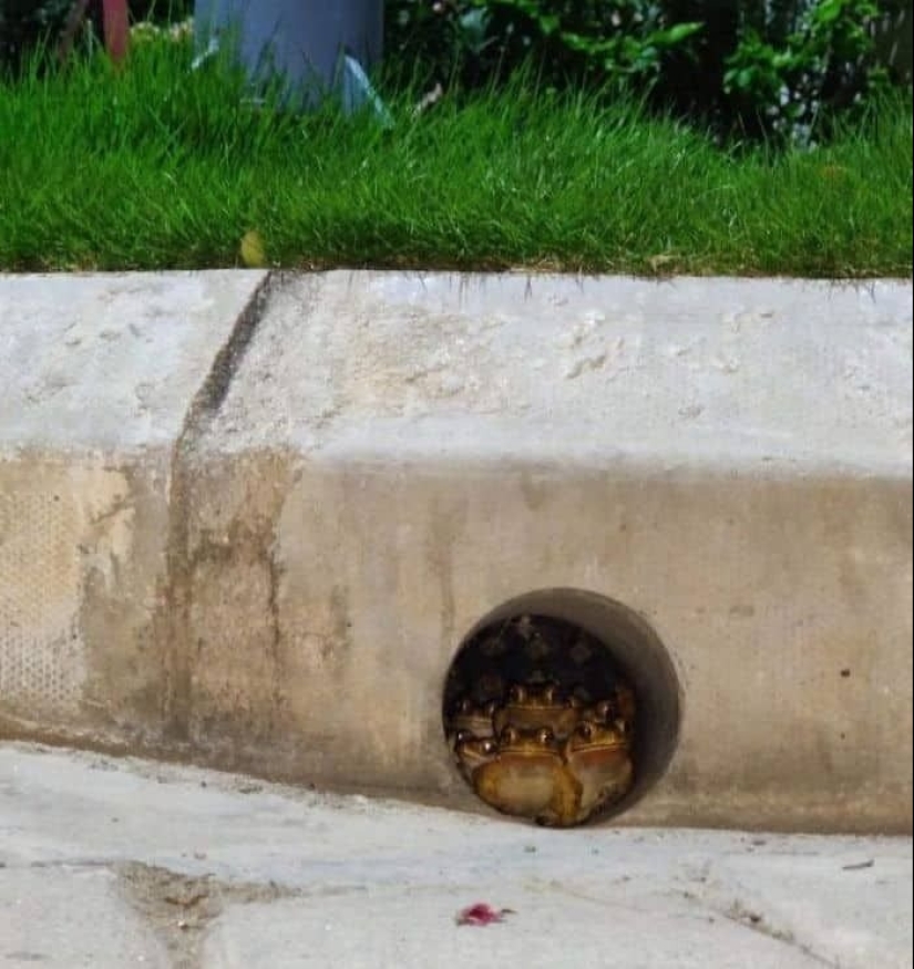 23 fotos aterradoras en las que la naturaleza puede asustar mucho a una persona