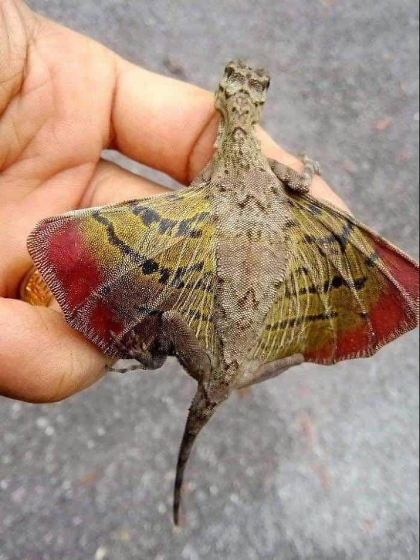 23 fotos aterradoras en las que la naturaleza puede asustar mucho a una persona
