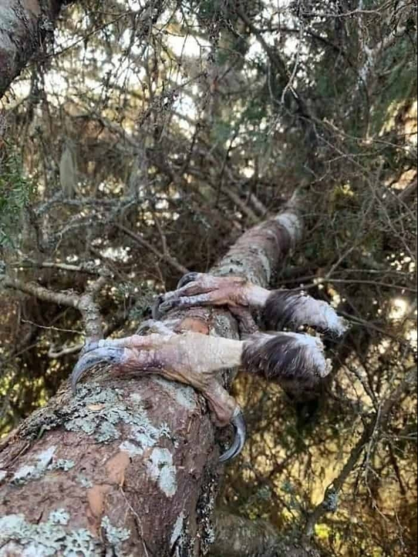23 fotos aterradoras en las que la naturaleza puede asustar mucho a una persona