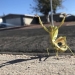 23 terrifying photos in which nature can greatly scare a person 23 terrifying photos in which nature can greatly scare a person