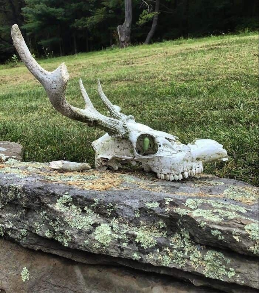 23 terrifying photos in which nature can greatly scare a person