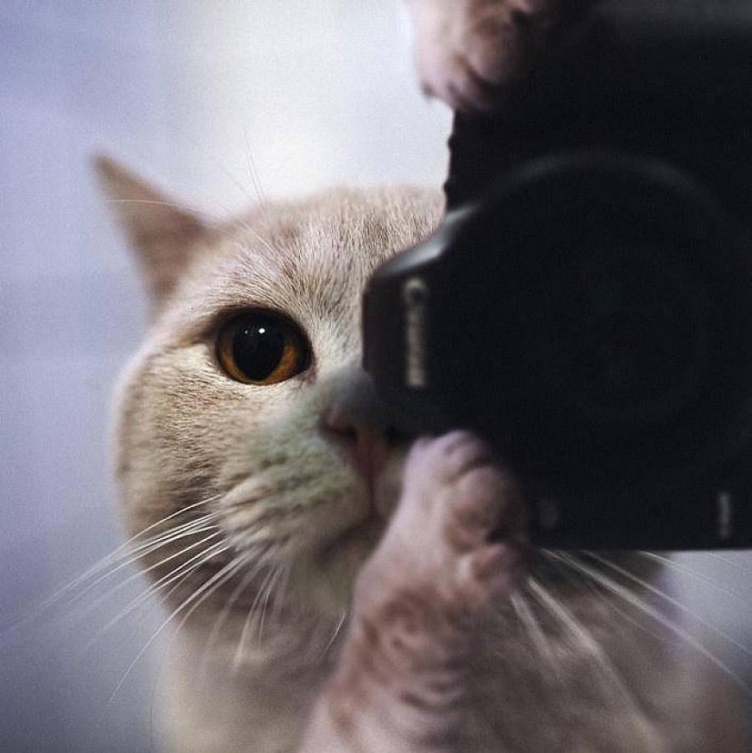 25 alternativas geniales para selfies